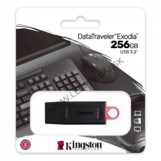 KINGSTON 256GB USB 3.2 Gen1 DataTraveler Exodia Black + Pink